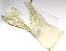 degraded latex glove