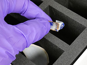 Image of someone wearing gloves, holding a conservation tray lined with tissue/plastazote